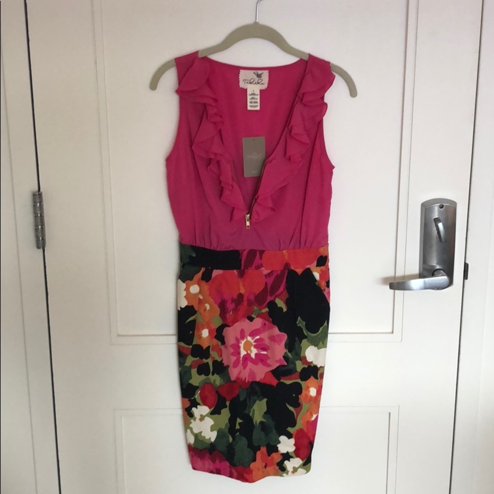 Rose Anthropologie dress
